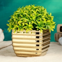 Кашпо "Страйпс" золотое, 10х10х8,5см