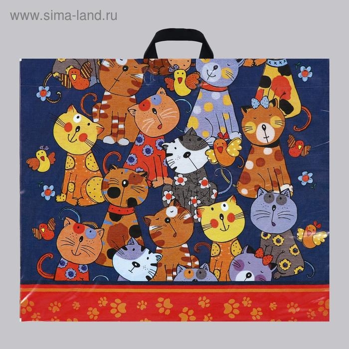 Пакет Пакет "Кошкин дом", полиэтиленовый с петлевой ручкой, 60 х 50 см, 70 мкм
