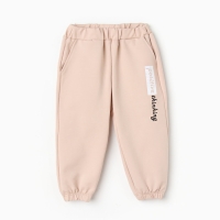 Комплект для девочки (свитшот, брюки), цвет кремовый, рост 116 см Комплект для девочки (свитшот, брюки), цвет кремовый, рост 116 см