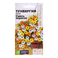 Семена Тунбергия "Сюзи", 4 шт. Семена Тунбергия "Сюзи", 4 шт.