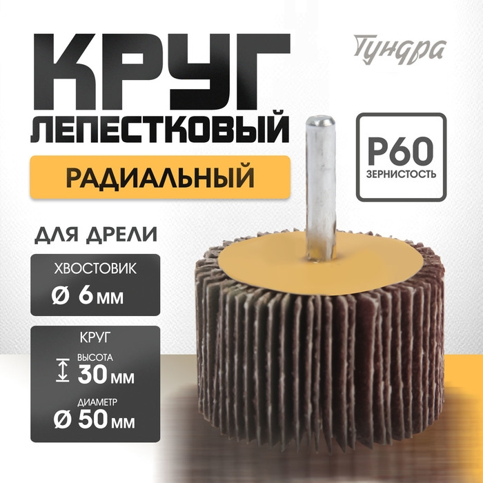 Круг лепестковый радиальный ТУНДРА, 50 х 30 х 6 мм, Р60 Круг лепестковый радиальный ТУНДРА, 50 х 30 х 6 мм, Р60
