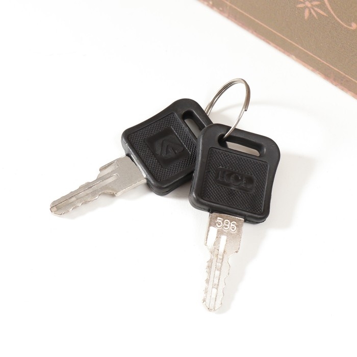 Сейф-книга дерево кожзам Сейф-книга дерево кожзам "Чарльз Роберт Дарвин. О происхождении Видов" 21х13х5 см