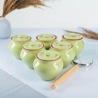 Набор "Вятская керамика №6" 0,5х6 + ухват, салатовый Набор "Вятская керамика №6" 0,5х6 + ухват, салатовый