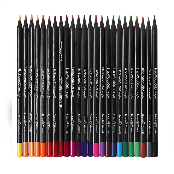 Карандаши 24 цвета BlackWoodColor, пластиковые, трёхгранные, МИКС