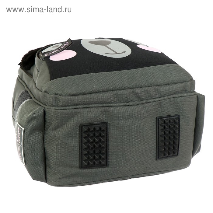 Рюкзак школьный Bruno Visconti "Панда моя!", 40 х 30 х 19 см, эргономичная спинка, пенал в подарок