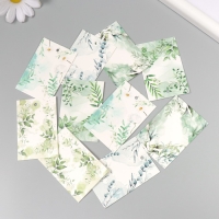 Бирка картон "Цветы 06" набор 10 шт (5 видов) 4х6 см Бирка картон "Цветы 06" набор 10 шт (5 видов) 4х6 см