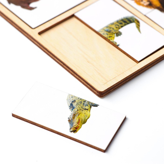 Картинки-половинки «Животные Африки» Картинки-половинки «Животные Африки»