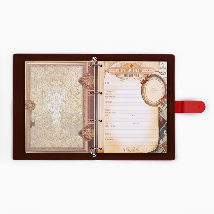 Родословная книга &laquo;Книга нашей семьи&raquo;, 65 листов, 32 х 23 см.