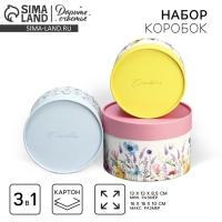 Набор шляпных коробок 3 в 1, упаковка подарочная, &laquo;Акварель&raquo;, 16 х 10, 14 х 9, 13 х 8.5 см