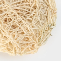 Мочалка - спонж Доляна «Сизаль», 12×12×5 см Мочалка - спонж Доляна «Сизаль», 12×12×5 см