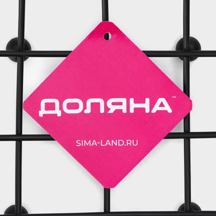 Фруктовница Доляна, 27&times;27&times;8,5 см, цвет чёрный