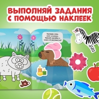 Набор раскрасок с наклейками, 2 шт. по 12стр., 17 × 24 см, Синий трактор Набор раскрасок с наклейками, 2 шт. по 12стр., 17 × 24 см, Синий трактор