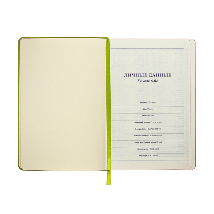 Ежедневник недатированный A5, 140л, клетка, кожзам, на резинке, красный срез, Зеленый Ежедневник недатированный A5, 140л, клетка, кожзам, на резинке, красный срез, Зеленый