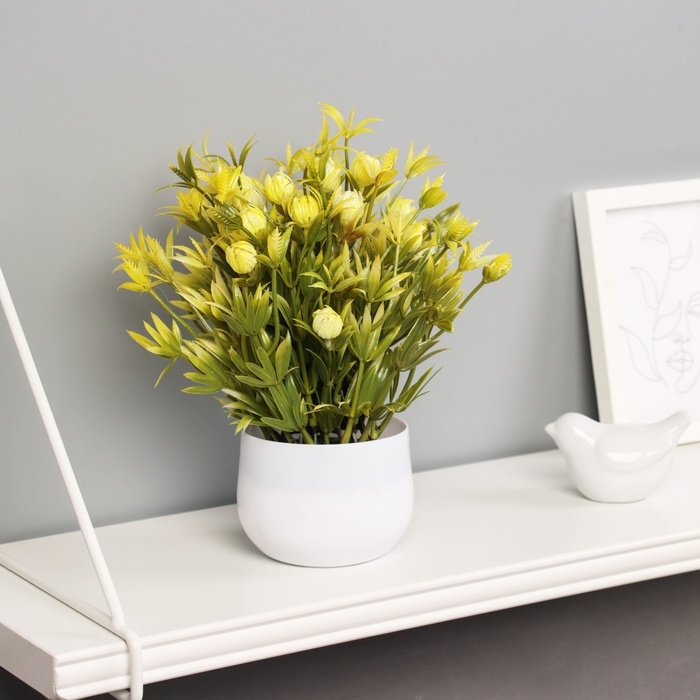 Бонсай в горшке "Цветы луковичные" 21х9 см, микс