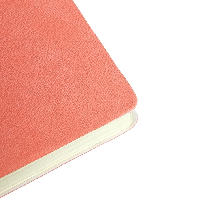 Ежедневник датированный 2024 A5 176 листов, deVENTE.Nobile, мягкая обложка из искусственной кожи, ляссе, кремовый блок 70 г/м2, коралловый