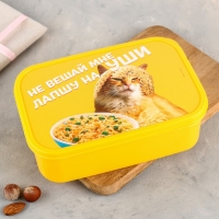 Ланч-бокс прямоугольный &laquo;Не вешай лапшу на уши&raquo;, 1200 мл