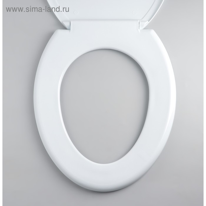 Сиденье для унитаза с крышкой Росспласт &laquo;Декор. Пальма&raquo;,44,5 х 37,5 см, белое