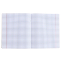 Тетрадь предметная ХИМИЯ, 48 листов в клетку, ErichKrause Be Informed, пластиковая обложка, шелкография, блок офсет 100% белизна, инфо-блок Тетрадь предметная ХИМИЯ, 48 листов в клетку, ErichKrause Be Informed, пластиковая обложка, шелкография, блок офсет 100% белизна, инфо-блок