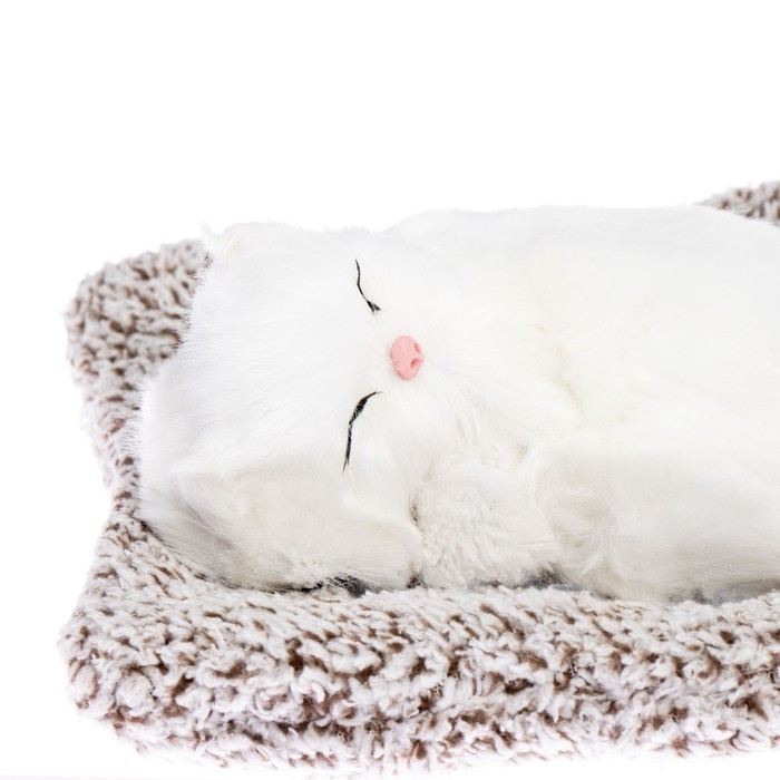 Игрушка на панель авто, кошечка на подушке, белый окрас Игрушка на панель авто, кошечка на подушке, белый окрас