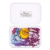 Набор для творчества &laquo;Набор сухоцветов&raquo;, большой, голубой, жёлтый, сиреневый