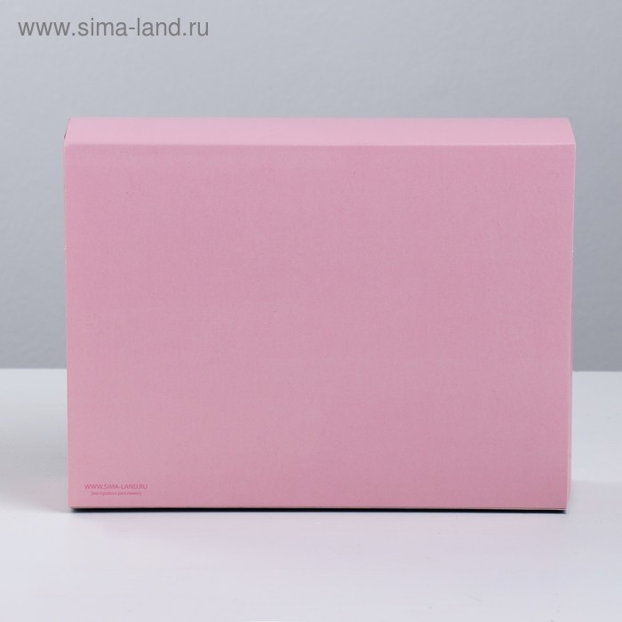 Коробка кондитерская, упаковка &laquo;Маленькие радости&raquo;, 20 х 15 х 5 см