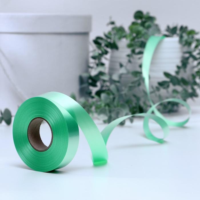 Лента для декора и подарков, светло-зеленый, 2 см х 45 м Лента для декора и подарков, светло-зеленый, 2 см х 45 м