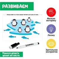 Развивающий набор &laquo;Целое и части&raquo;, пиши-стирай