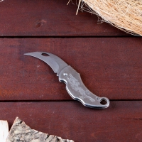 Нож-керамбит "Дракон" 14,5см, клинок 65мм/2мм, серебристый Нож-керамбит "Дракон" 14,5см, клинок 65мм/2мм, серебристый