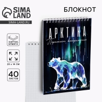 Блокнот &laquo;Арктика&raquo;, А5, 40 л, картон