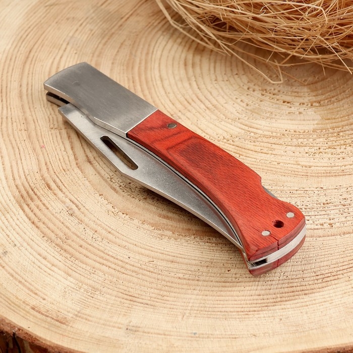 Нож складной Нож складной "Армагедон" 24,7см, клинок 107мм/1мм, рукоять дерево