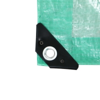 Тент защитный, 6 &times; 3 м, плотность 120 г/м&sup2;, УФ, люверсы шаг 1 м, зелёный/серебристый