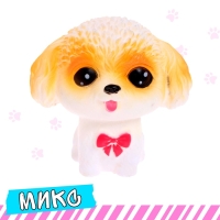 Питомец «Любимый», МИКС Питомец «Любимый», МИКС