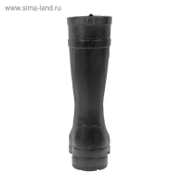 Сапоги мужские, цвет чёрный, размер 41