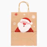 Новый год. Пакет бумажный подарочный новогодний крафт с тиснением "Дед Мороз", 27 х 21 х 11 см.
