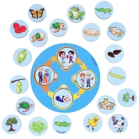 Развивающая игра из дерева &laquo;Цикл жизни&raquo;