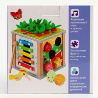 Логический куб "Развитие" 16х15.5х15.5см Логический куб "Развитие" 16х15.5х15.5см