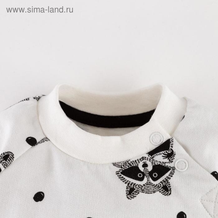 Комплект: джемпер и брюки Крошка Я &laquo;Еноты&raquo;, рост 74-80 см