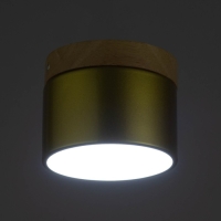 Светильник "Алтер" LED 7Вт 4000К золото 10х10х8 см BayerLux Светильник "Алтер" LED 7Вт 4000К золото 10х10х8 см BayerLux