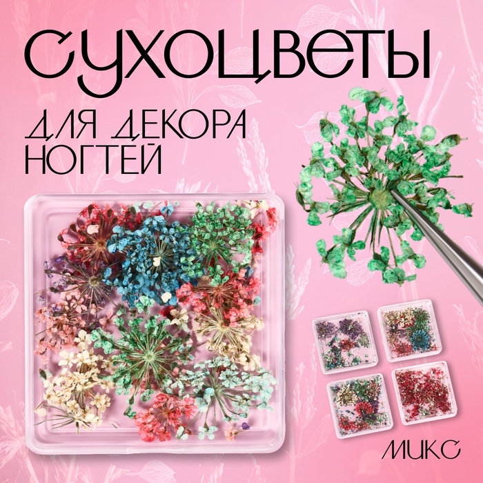 Сухоцветы для декора ногтей, в футляре, вид МИКС Сухоцветы для декора ногтей, в футляре, вид МИКС