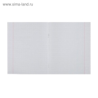 Тетрадь 48 листов в клетку Calligrata "Кигуруми", обложка мелованный картон, УФ-лак, блок офсет, МИКС Тетрадь 48 листов в клетку Calligrata "Кигуруми", обложка мелованный картон, УФ-лак, блок офсет, МИКС