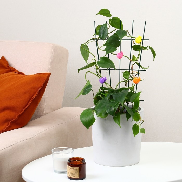 Клипса для растений «Улитка», набор 10 шт., МИКС, Greengo Клипса для растений «Улитка», набор 10 шт., МИКС, Greengo