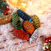 Набор еловых шишек для декора «Цветные» 6 шт., МИКС Набор еловых шишек для декора «Цветные» 6 шт., МИКС