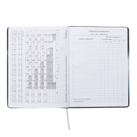 Дневник универсальный для 1-11 класса Football Time, твёрдая обложка, искусственная кожа, с поролоном, ляссе, 80 г/м2