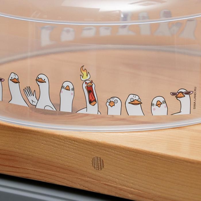 Крышка для СВЧ-печи &laquo;Гуси&raquo;, 25х25х10 см