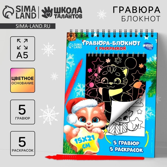 Блокнот гравюра - раскраска на новый год &laquo;Поверь в мечту&raquo;, 10 листов