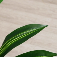 Дерево искусственное "Драцена лемон" 58 см