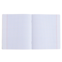 Тетрадь предметная ИСТОРИЯ, 48 листов в клетку, ErichKrause Be Informed, пластиковая обложка, шелкография, блок офсет 100% белизна, инфо-блок