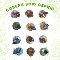 Игровое кольцо &laquo;Мир животных&raquo; 3,5 &times; 4,5 &times; 2,5см, 12 видов, МИКС