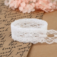 Кружево капроновое, 30 мм × 10 ± 1 м, цвет белый Кружево капроновое, 30 мм × 10 ± 1 м, цвет белый