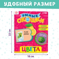 Книжка картонная с окошками &laquo;Цвета&raquo;, 10 стр.